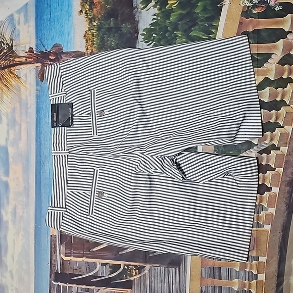Banana Republic Pinstripe Shorts Size 6 NWT - Picture 4 of 5